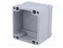 FIBOX EURONORD Carcasa Universal Gris