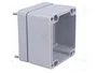 FIBOX EURONORD Carcasa Universal Gris
