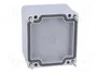 FIBOX EURONORD Carcasa Universal Gris