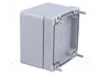FIBOX EURONORD Carcasa Universal Gris