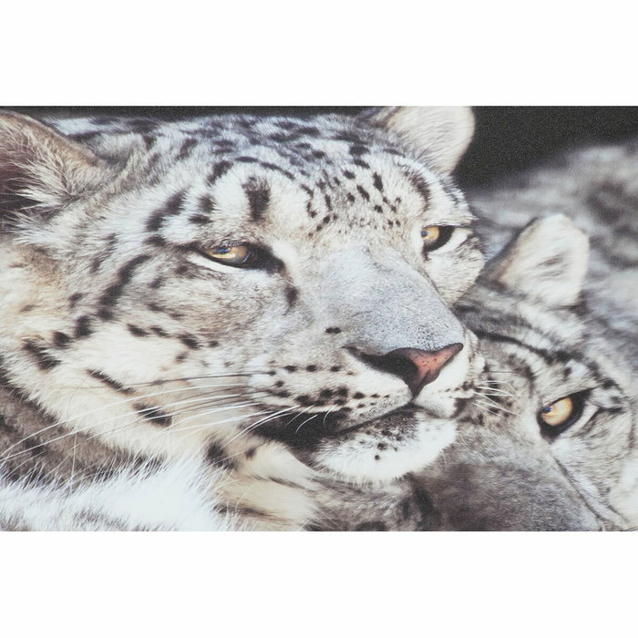 DKD Home Decor Cuadro Lienzo Pino Tigres Surtido de 2 Unidades