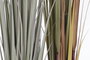 DKD Home Decor Planta 20x120x20 cm (4 Unidades) Marron Verde