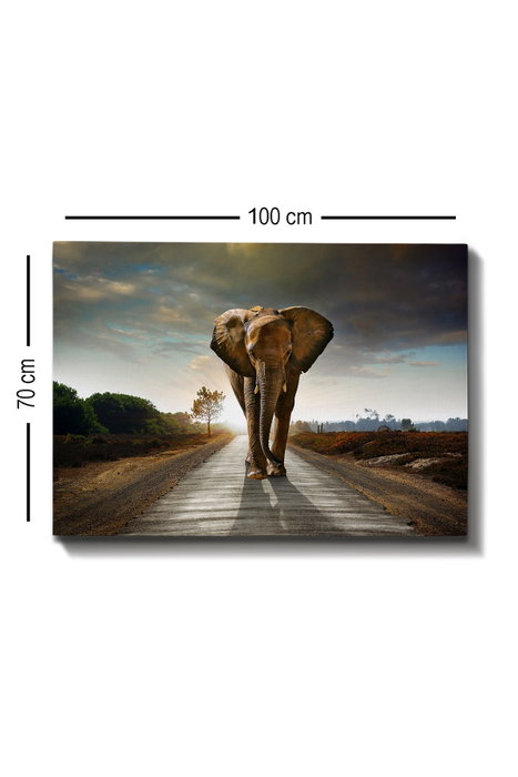 Wallity Lienzo Decorativo 175 (70 x 100 cm)