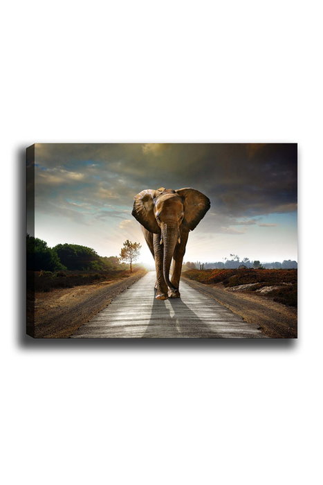 Wallity Lienzo Decorativo 175 (70 x 100 cm)