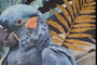 DKD Home Decor Cuadro Tropical Azul Negro 3.5 x 70 x 50 cm (2 Unidades)