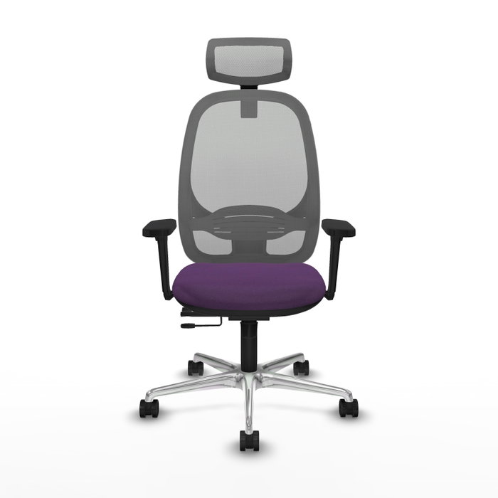 PIQUERAS Y CRESPO Silla de oficina Cilanco con mecanismo Sincro/Traslack, Morado y Gris PIQUERAS Y CRESPO Silla de oficina Cilanco con mecanismo Sincro/Traslack, Morado y Gris