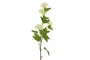 DKD Home Decor Flor Artificial Blanca y Verde 15 x 70 x 15 cm (12 Unidades) Tacto Real