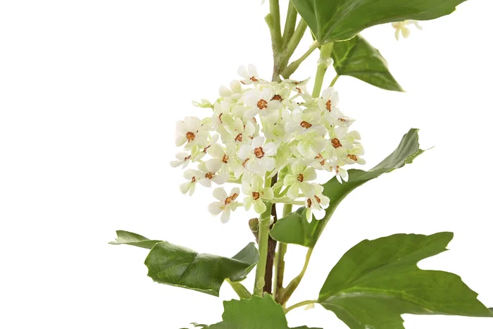 DKD Home Decor Flor Artificial Blanca y Verde 15 x 70 x 15 cm (12 Unidades) Tacto Real