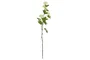 DKD Home Decor Flor Artificial Blanca y Verde 15 x 70 x 15 cm (12 Unidades) Tacto Real