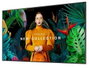 Samsung QH55C Pantalla de señalización digital 55 pulgadas 4K Ultra HD