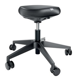 LEITZ Taburete Active Ergo Negro