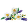 Lego Botanicals Margaritas 11508