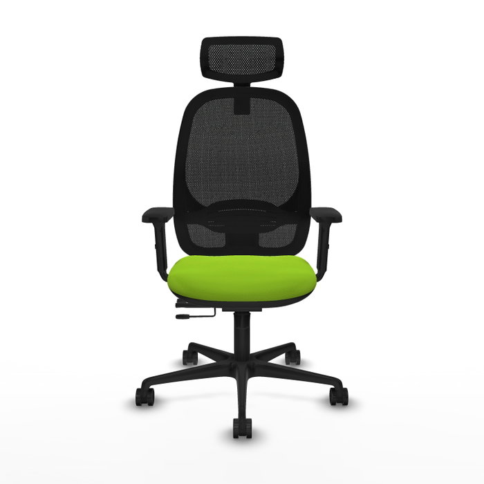 PIQUERAS Y CRESPO Silla de oficina Cilanco con mecanismo Sincro/Traslack, Pistacho y Negro PIQUERAS Y CRESPO Silla de oficina Cilanco con mecanismo Sincro/Traslack, Pistacho y Negro
