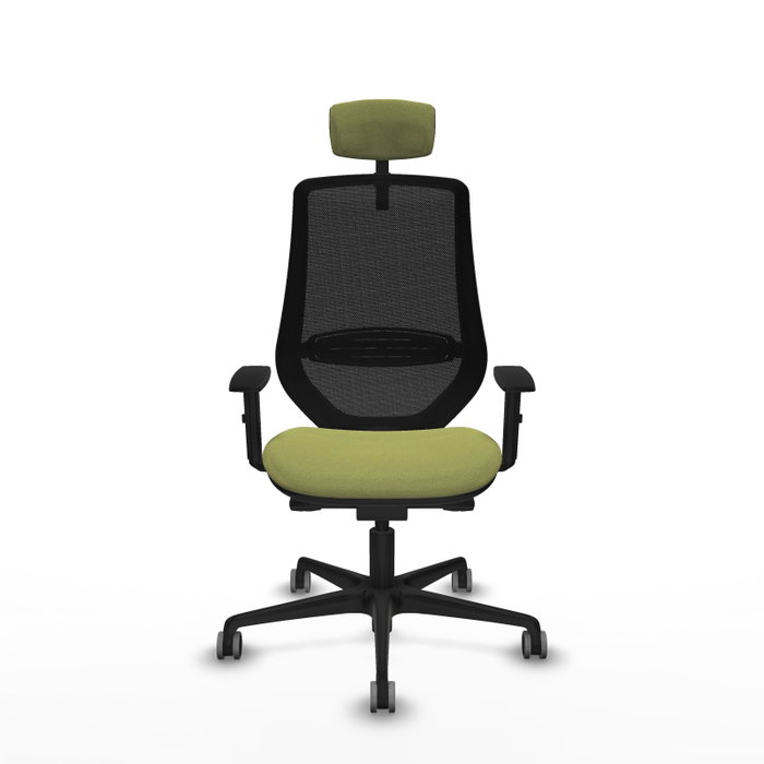PIQUERAS Y CRESPO Silla de oficina Mardos con mecanismo Sincro/Traslack Verde oliva y Negro PIQUERAS Y CRESPO Silla de oficina Mardos con mecanismo Sincro/Traslack Verde oliva y Negro