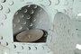 DKD Home Decor Decoración de Metal Pez Azul Celeste