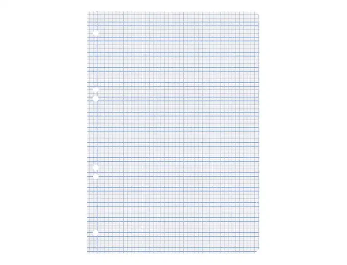 Liderpapel Recambio A5 100 Hojas Cuadriculado Pautado con Margen y 6 Taladros