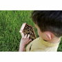 Lisciani Giochi Laboratorio de Abejas - Kit Científico de Experimentos Variados