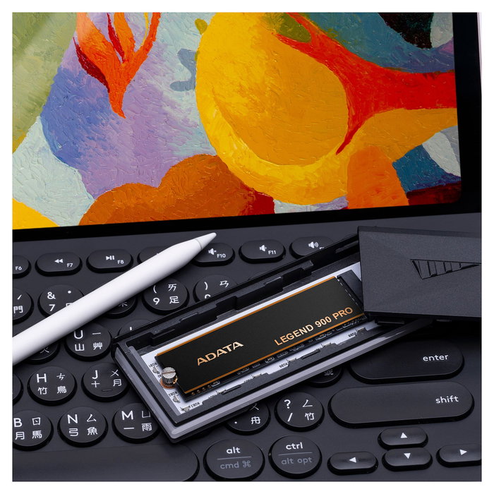 ADATA LEGEND 900 Pro SSD M.2 1 TB PCIe 4.0 x4 NVMe 1.4 (schwarz/gold)