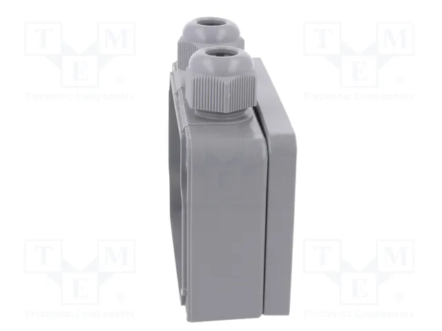 BOPLA Caja de conexiones gris con prensaestopas