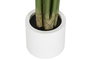 DKD Home Decor Planta Anthurium Regale Verde 100x100x195 cm