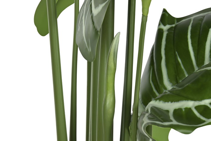 DKD Home Decor Planta Anthurium Regale Verde 100x100x195 cm
