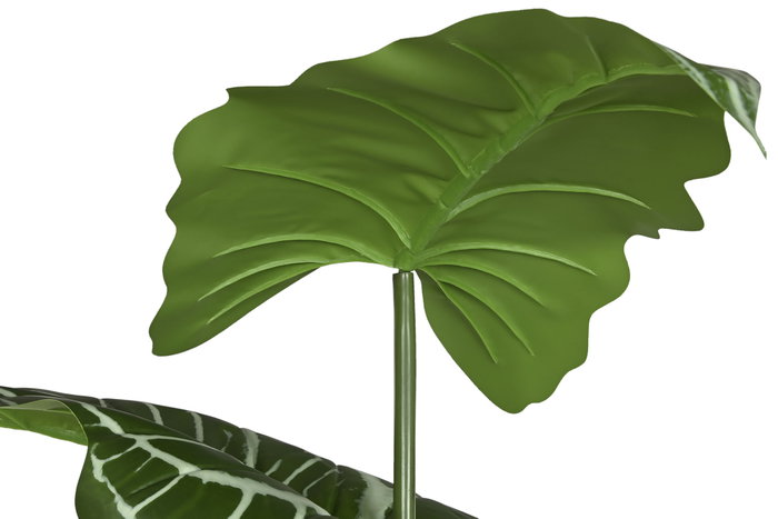 DKD Home Decor Planta Anthurium Regale Verde 100x100x195 cm