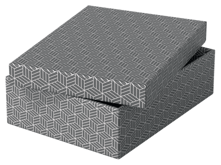 Esselte Caja de almacenaje 628285 Pack 3 Cajas Grises 360x265x100mm Cartón