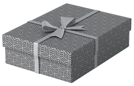 Esselte Pack de 3 Cajas de Almacenamiento de Cartón Gris 360x265x100mm
