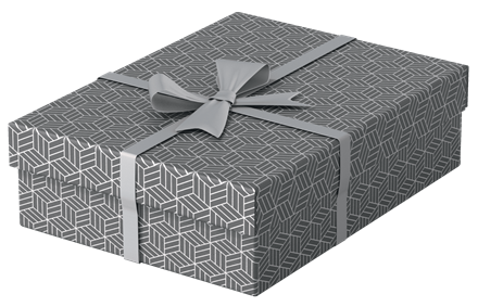 Esselte Caja de almacenaje 628285 Pack 3 Cajas Grises 360x265x100mm Cartón