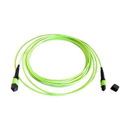 EFB Elektronik MTPF12MTPFOM5-15 Patchkabel OM5 12 Fasern Typ B LSZH Verde 15m