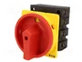 EATON ELECTRIC Interruptor de levas principal P3-100/EA/SVB/N 100A 50kW
