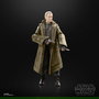 Hasbro Star Wars The Black Series Figura de Acción Premium para Niños y Coleccionistas, Réplica Detallada de Personajes Icónicos de la Saga
