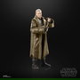 Hasbro Star Wars The Black Series Figura de Acción Premium para Niños y Coleccionistas, Réplica Detallada de Personajes Icónicos de la Saga