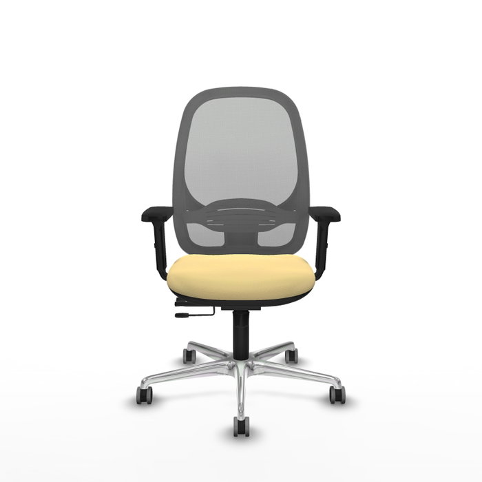PIQUERAS Y CRESPO Silla de oficina Cilanco con mecanismo Sincro/Traslack, Crema y Gris PIQUERAS Y CRESPO Silla de oficina Cilanco con mecanismo Sincro/Traslack, Crema y Gris