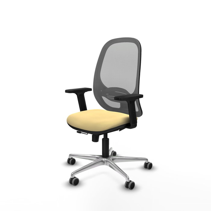 PIQUERAS Y CRESPO Silla de oficina Cilanco con mecanismo Sincro/Traslack, Crema y Gris PIQUERAS Y CRESPO Silla de oficina Cilanco con mecanismo Sincro/Traslack, Crema y Gris