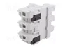 DF ELECTRIC Portafusibles PMX de 3 polos para raíl DIN 100A 690VAC