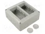 GEWISS 27 COMBI Carcasa para aparatos modulares Gris