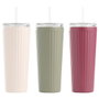 Day Mug Térmico con pajita 700 ml Acero inoxidable Silicona Plástico Colores surtidos