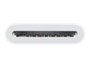 Apple Adaptador USB-C a Lector de Tarjetas SD - MUFG2ZM/A