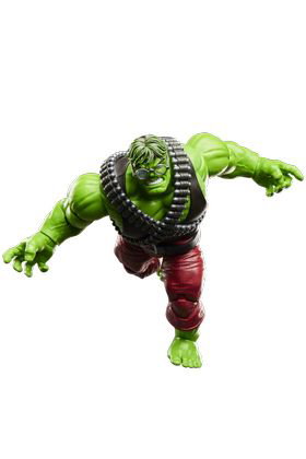 Hasbro Marvel Legends Series Professor Hulk