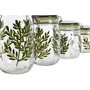 DKD Home Decor Set de 4 Botes de Cristal Botánico Verde