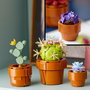 LEGO Icons Plantas Diminutas 10329