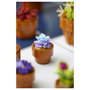 LEGO Icons Plantas Diminutas 10329