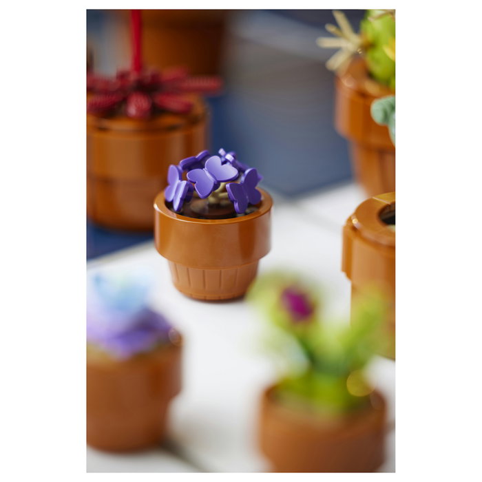 LEGO Icons Plantas Diminutas 10329