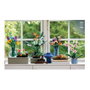 LEGO Icons Plantas Diminutas 10329