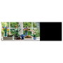 LEGO Icons Plantas Diminutas 10329