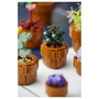 LEGO Icons Plantas Diminutas 10329