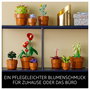 LEGO Icons Plantas Diminutas 10329