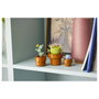 LEGO Icons Plantas Diminutas 10329