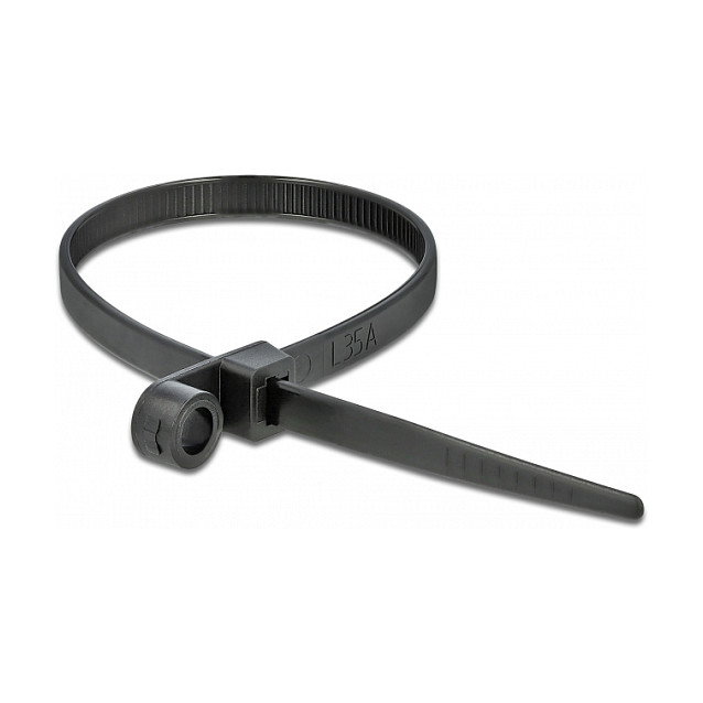 DeLOCK 18951 Brida de entrada paralela con ojal de fijación 300 x 4,8 mm negro, 10 piezas